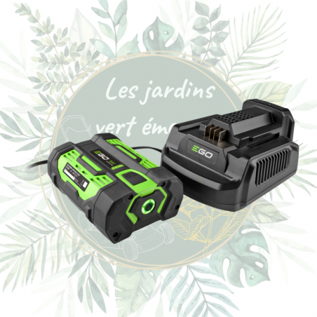 Chargeur standard pour batterie Ego Power+ 56V avec voyant témoins.