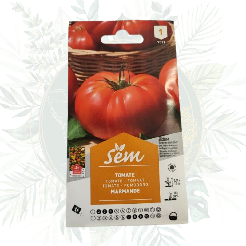 Tomate marmande