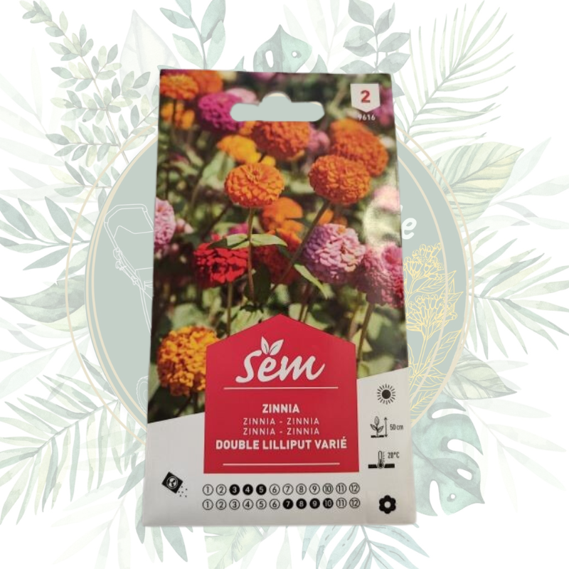 Graines Sanrival | Zinnia...